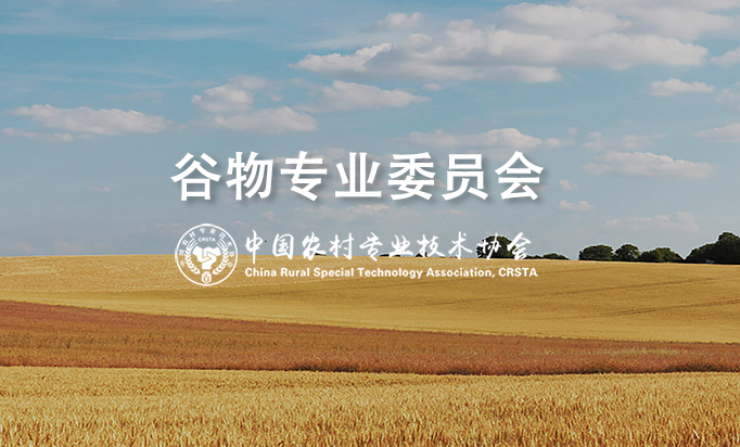 谷物专业委员会