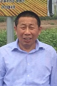 毛树春