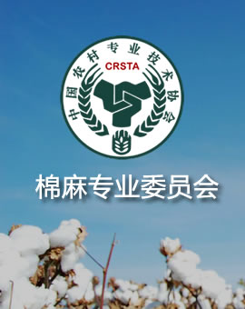 朱清宏
