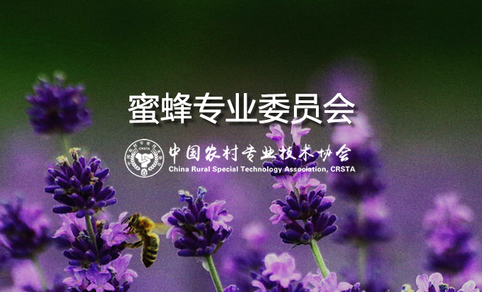 蜜蜂专业委员会