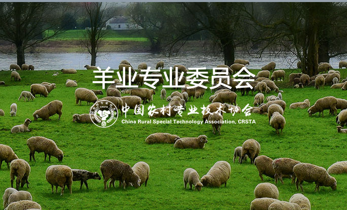 羊业专业委员会