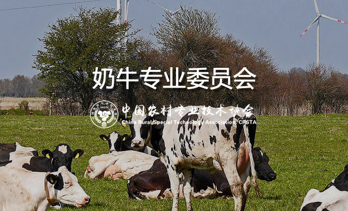 奶牛专业委员会
