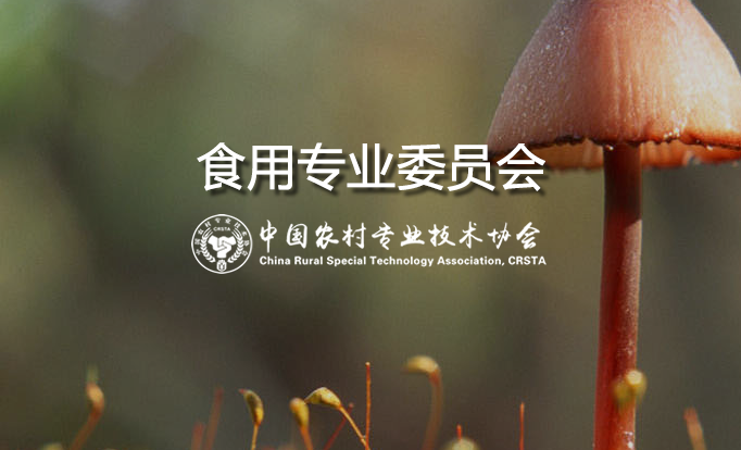 食用菌专业委员会