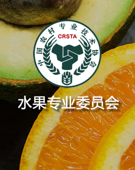 张善全