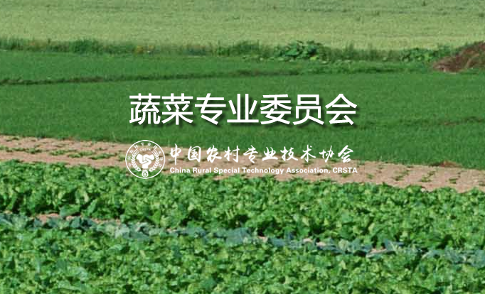 蔬菜专业委员会