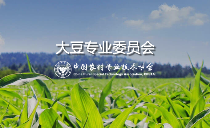 大豆专业委员会