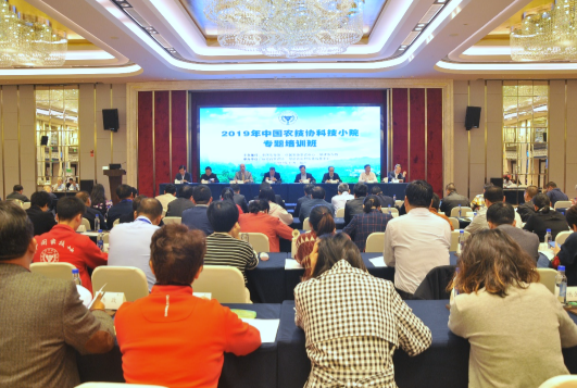 1575362213630292.png 1111111111.png