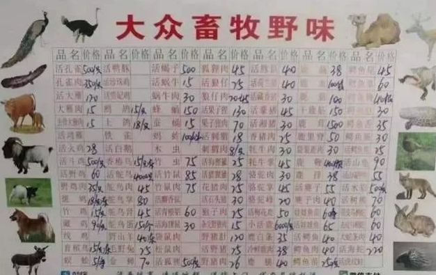 1581557221866603.png 2.png