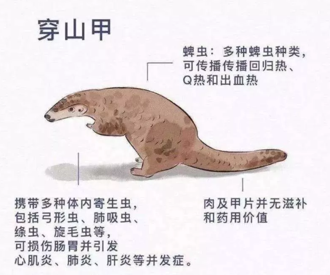 1581557289680037.png 4.png