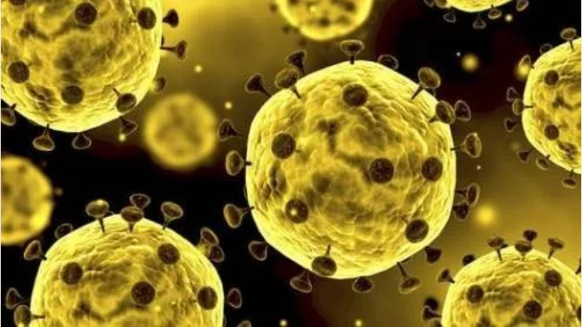 1581562641538000.png 6.png