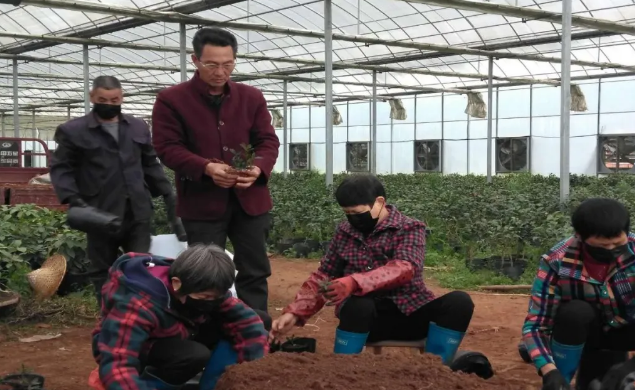 1597911112835846.png image.png