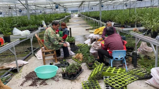 1597913082904971.png image.png