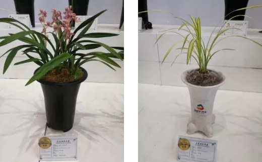 1597913096822622.png image.png