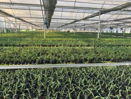 1597913111363474.png image.png