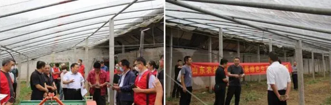 1597913489197472.png image.png