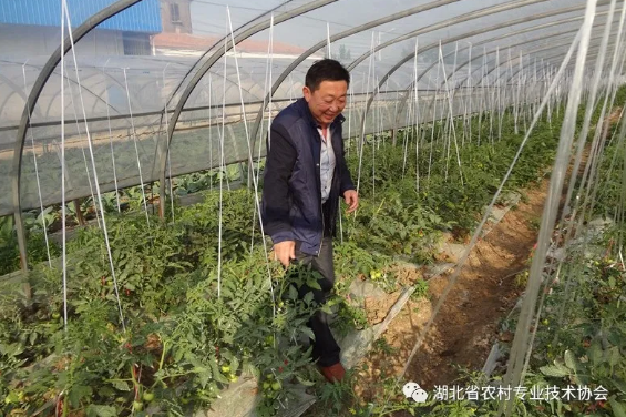 1597913806394074.png image.png