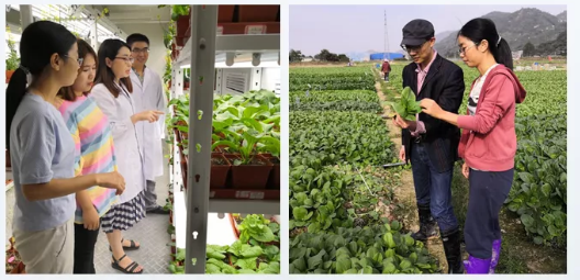 1597913849825876.png image.png