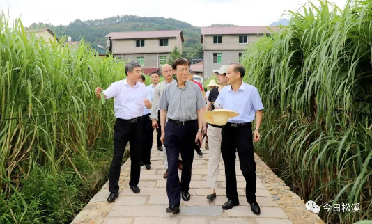 1597913862498031.png image.png