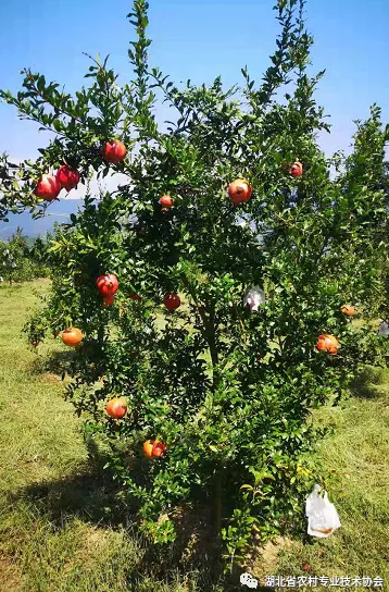 1597913945208782.png image.png