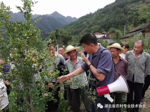 1597913957542439.png image.png