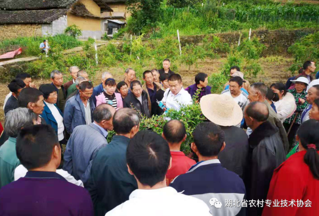 1597913970877685.png image.png