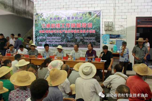 1597913979566300.png image.png