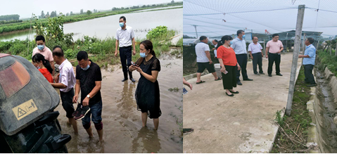 1597914080214862.png image.png