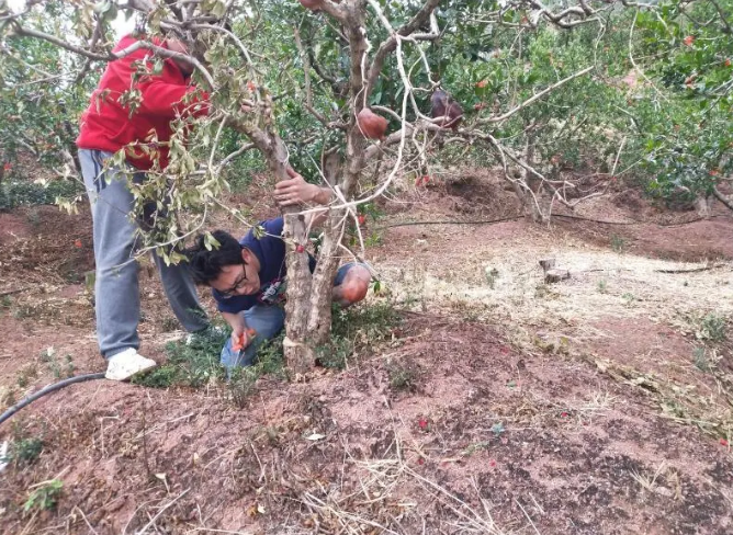 1597914344786188.png image.png