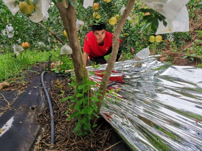 1597914352250279.png image.png