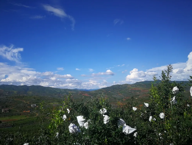 1597914359536310.png image.png