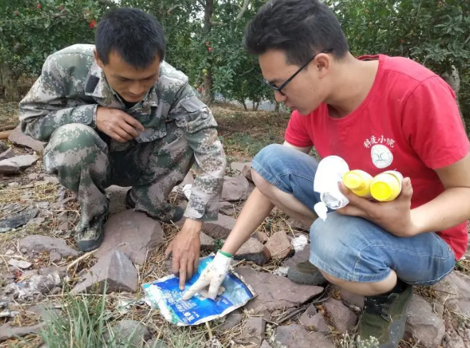 1597914369981035.png image.png