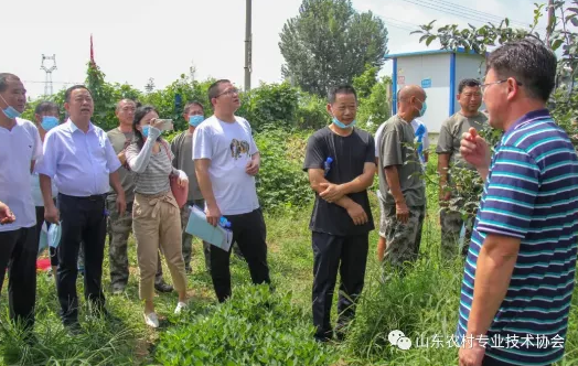 1597914402500236.png image.png