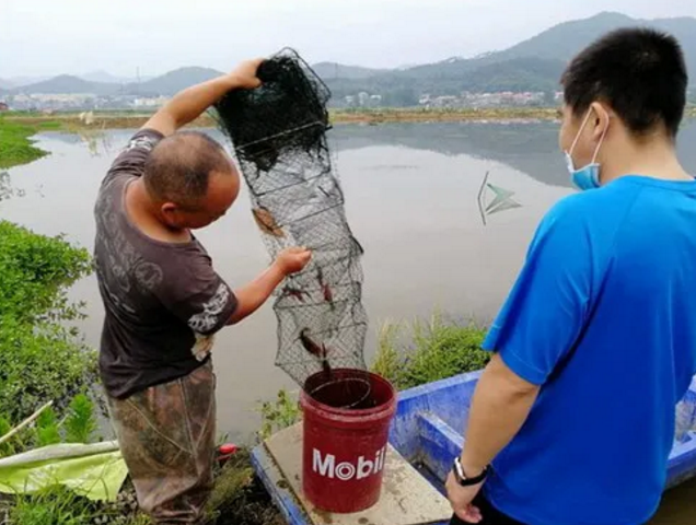 1598258103539148.png image.png