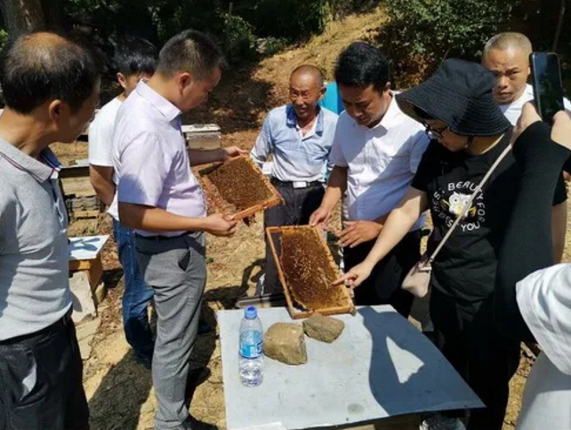 1598258113393749.png image.png