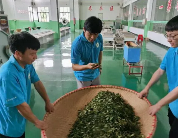 1598258120639737.png image.png