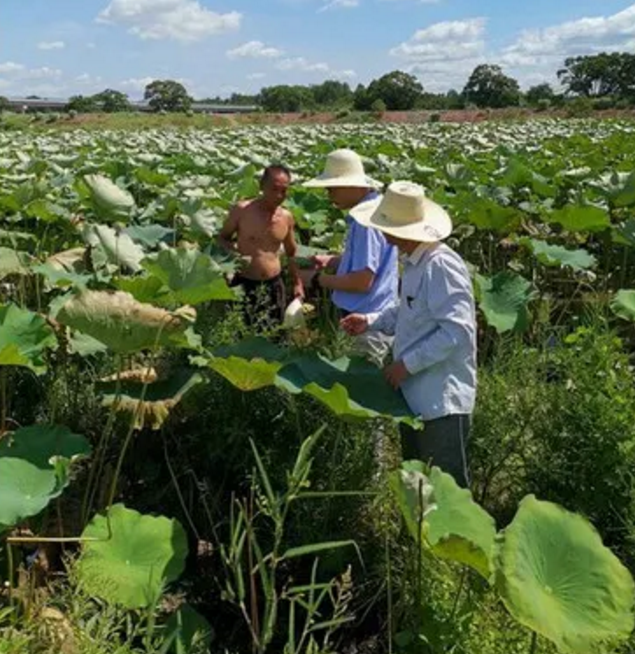 1598258128227734.png image.png