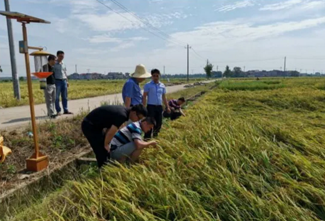 1598258136743087.png image.png