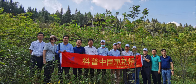 1599823142302623.png image.png