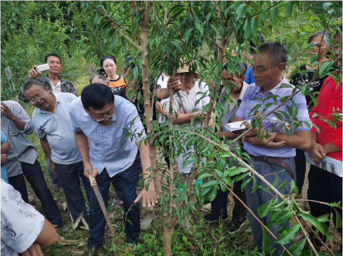 1599823463186245.png image.png