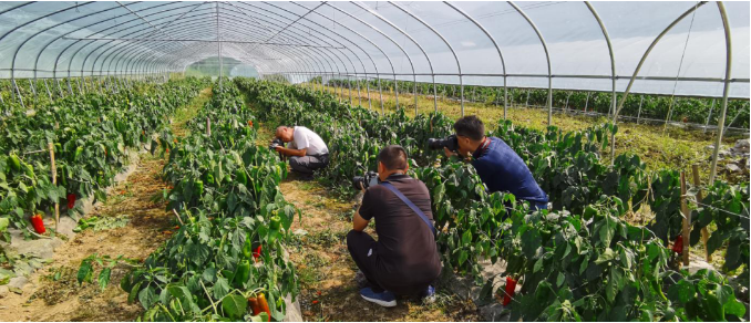 1599823474655121.png image.png