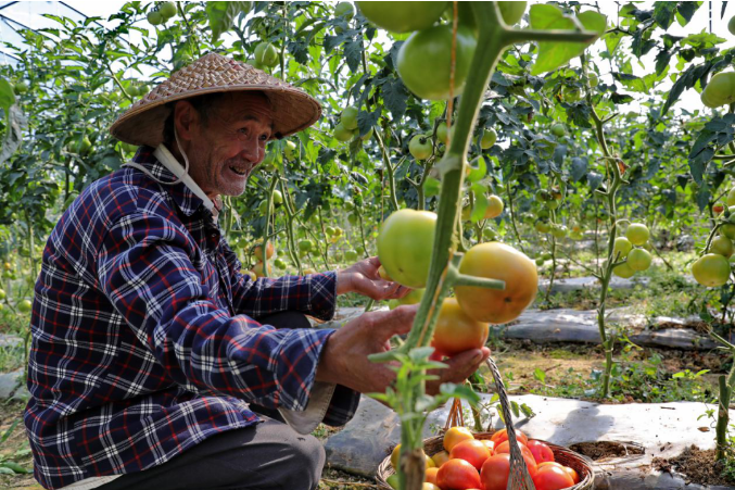 1599823483808581.png image.png