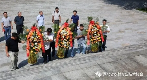 1600080855157223.png image.png