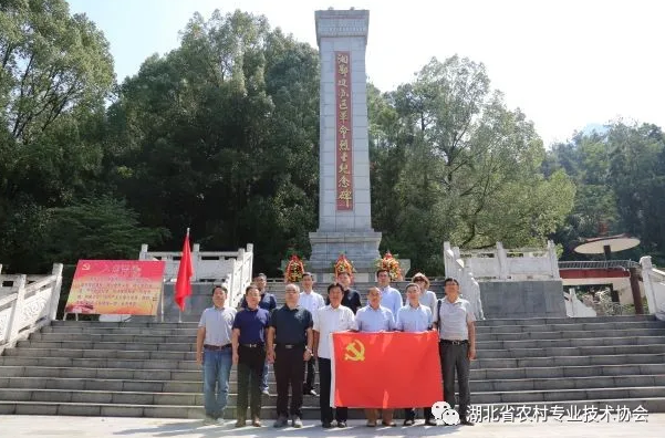 1600080877121926.png image.png