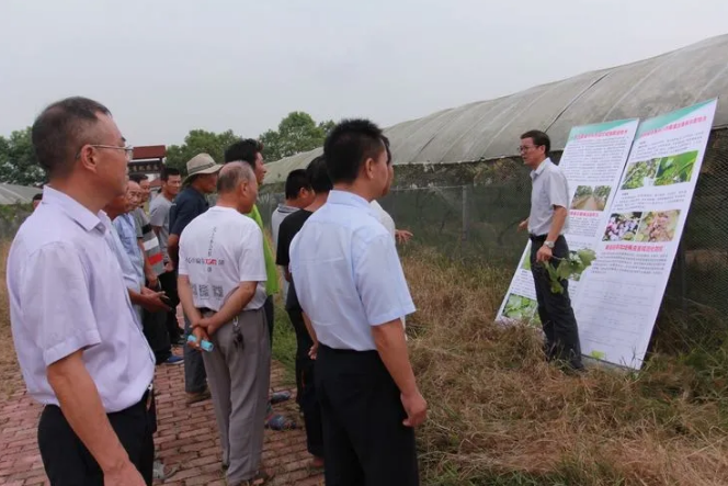 1600080958252718.png image.png