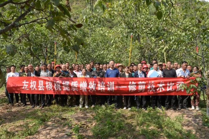 1600081054130450.png image.png