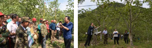 1600081068533440.png image.png