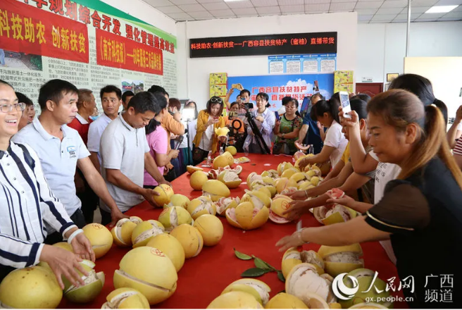 1600168185483978.png image.png