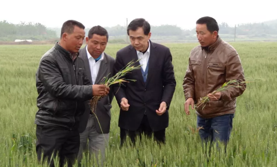 1602207981837962.png image.png