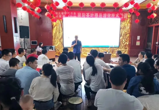 1603875378528220.png image.png