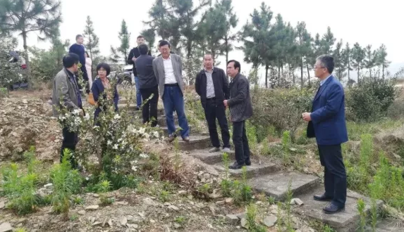 1604472701984852.png image.png